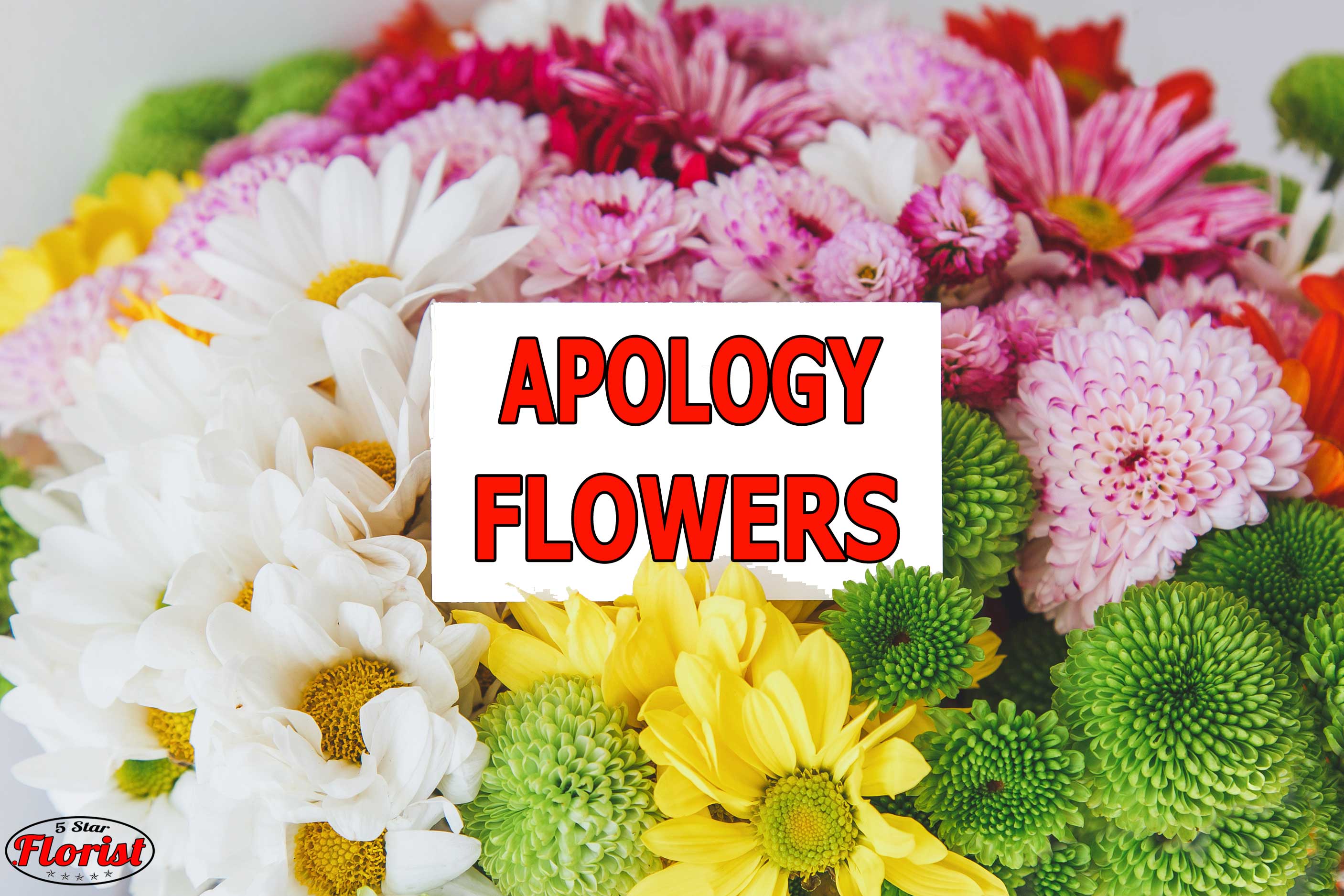 apology flowers Folsom