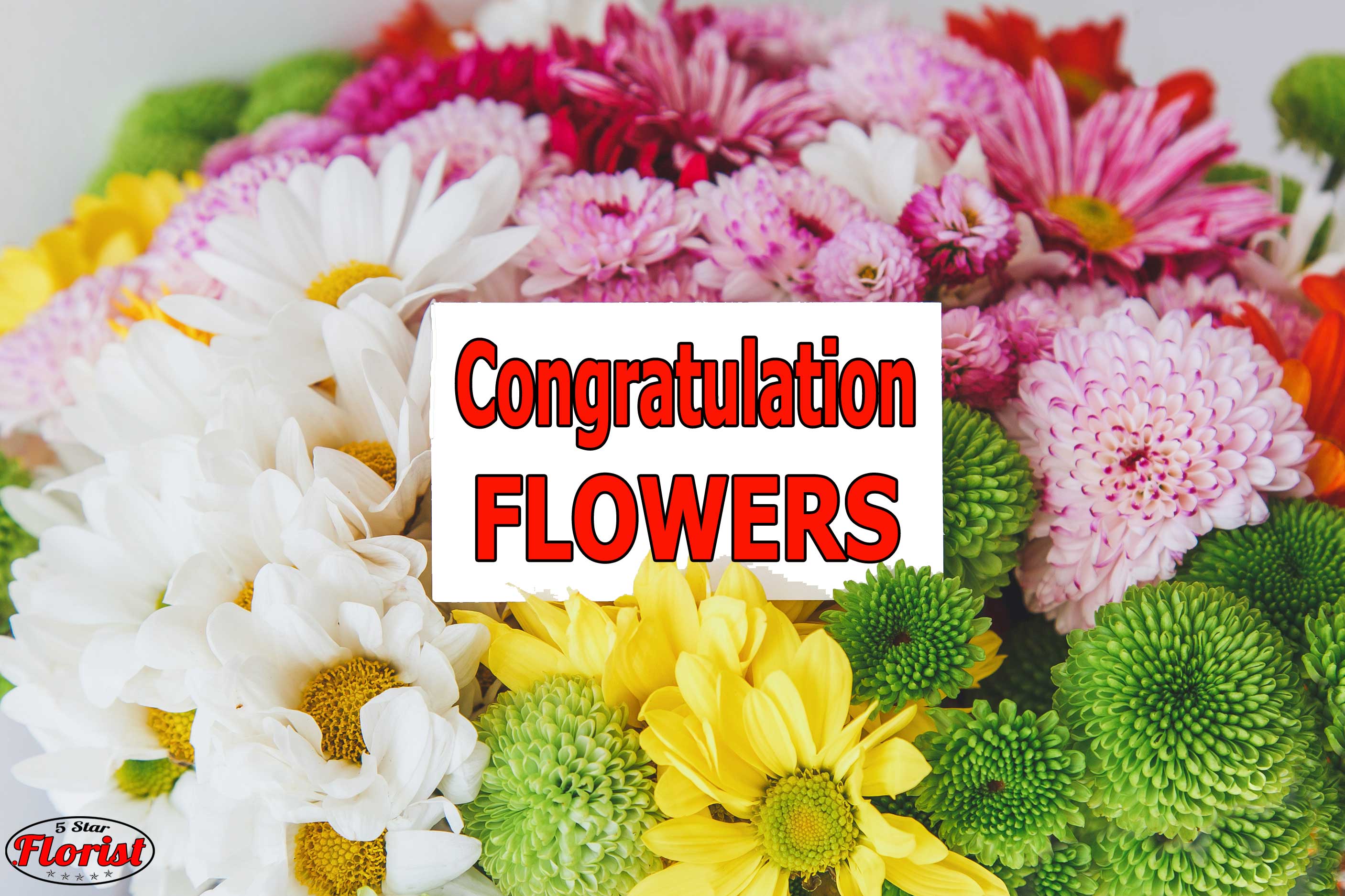 congratulations flowers Folsom