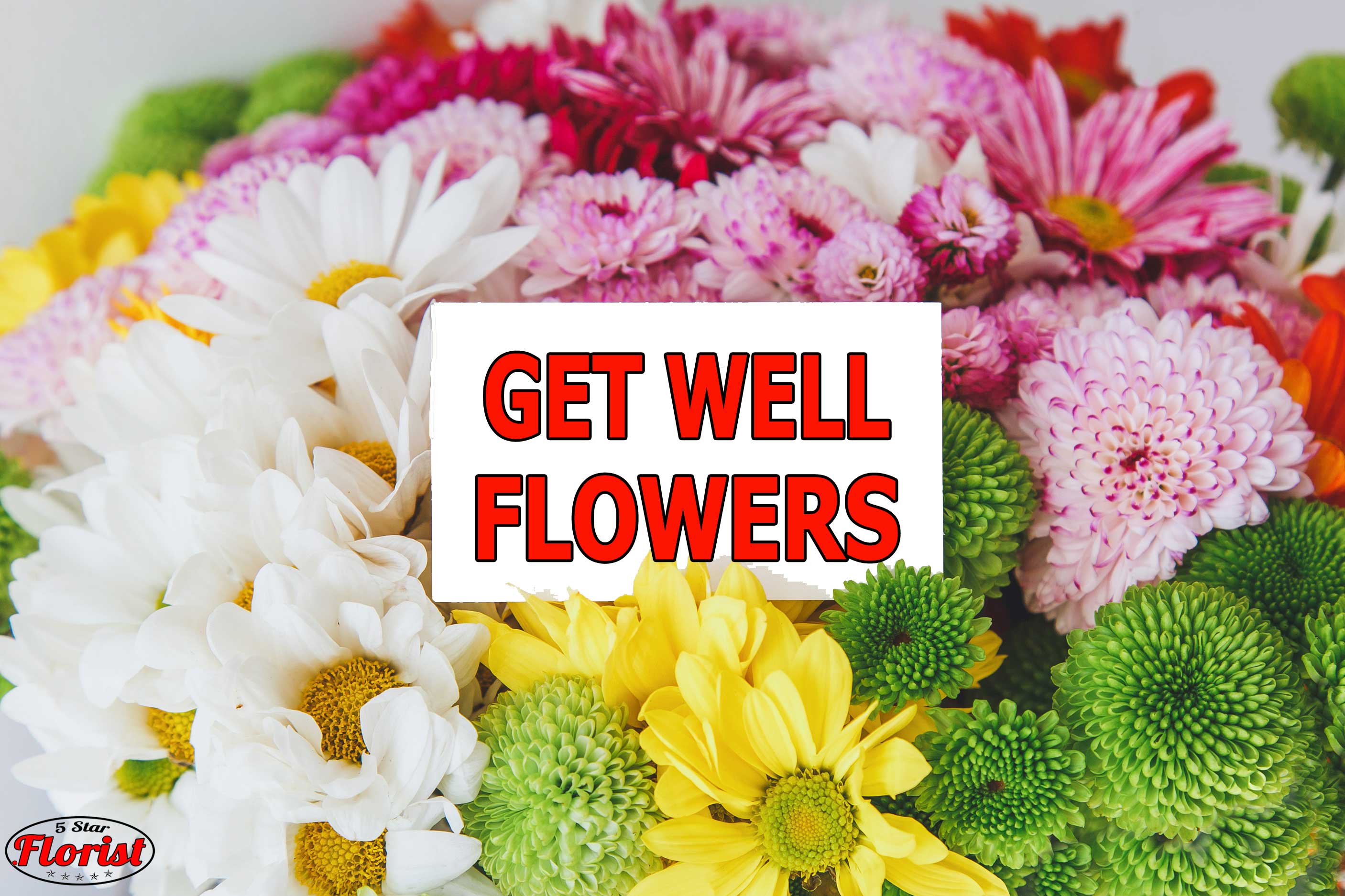 get well flowers Folsom