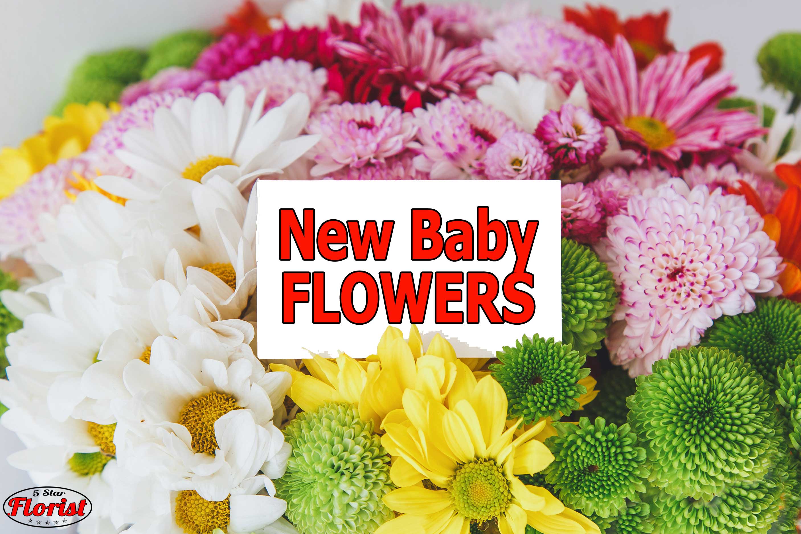 new baby flowers Folsom